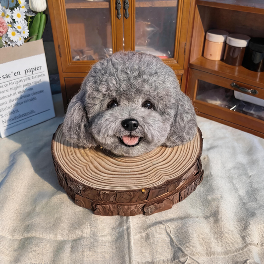 Wool Felt Pet Ornament