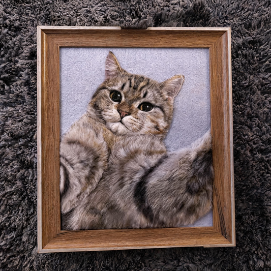 Wool Felt Pet Portrait